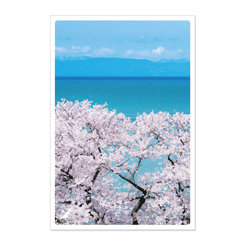 日本の絶景ポストカード 〜春〜 佐渡島/新潟 パスポル 旅 旅行 ハガキ