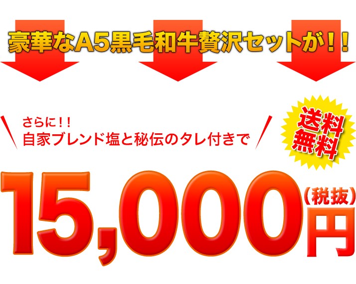 値段　5000円　送料無料