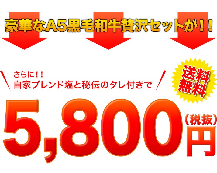 値段　5800円　送料無料