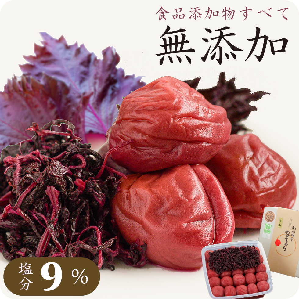 【無添加4.5kg】天日塩と梅だけの紀州南高梅 紀州南高梅 完熟 無添加梅干／梅干し 400g 【NHC 日本自然発酵