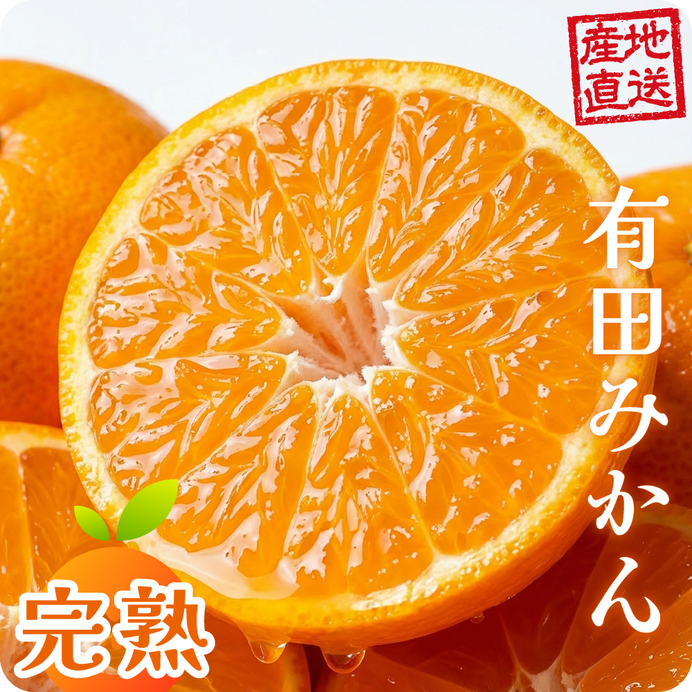 有田みかん 完熟 3kg SS 〜 2L 箱買い 甘い 箱 売り 和歌山 温州 国産