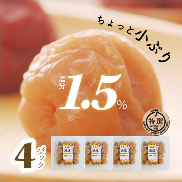 南高梅4lサイズのおすすめ人気商品一覧 通販 - Yahoo!ショッピング