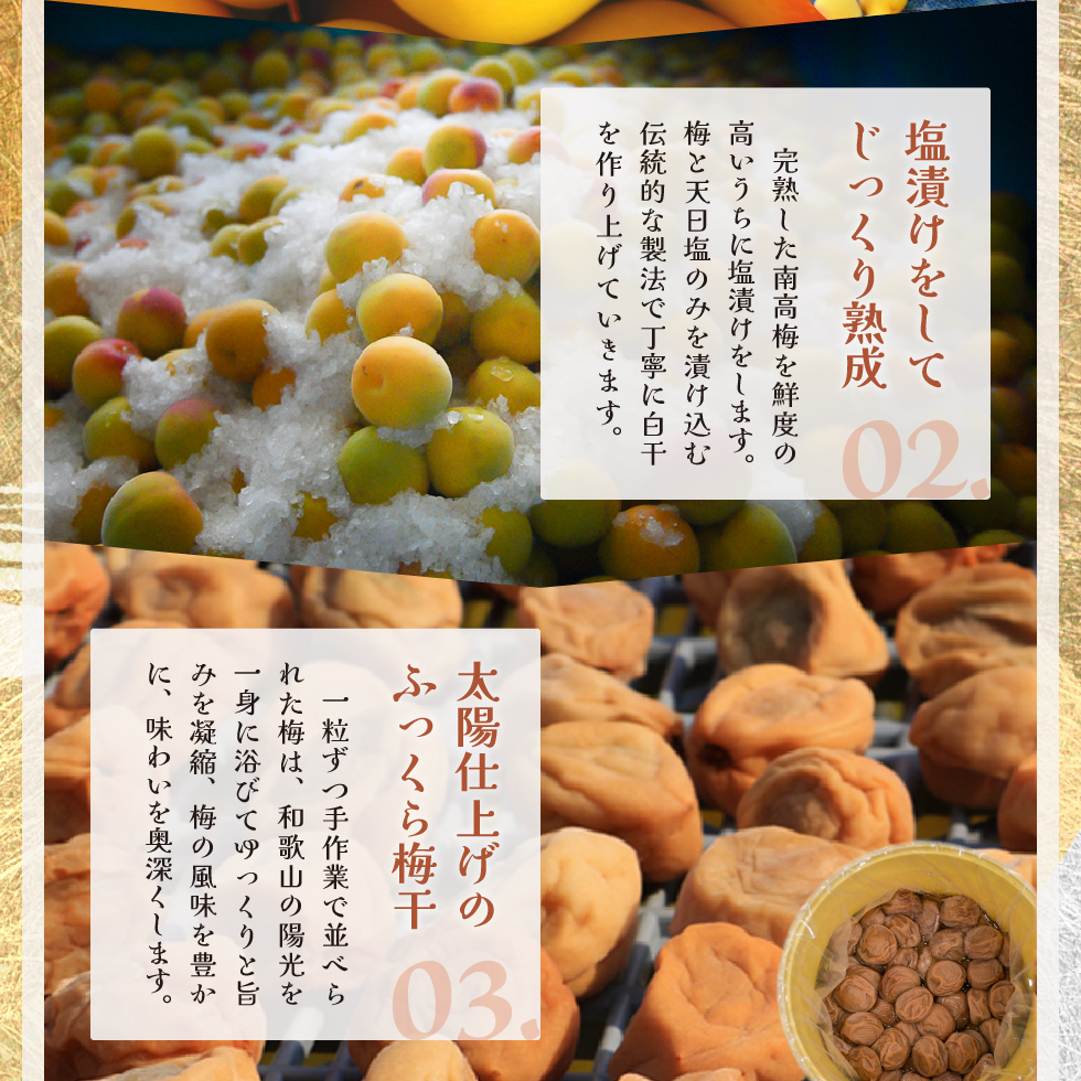 梅干し 減塩 塩分3% うす塩味 270g ×...の詳細画像5