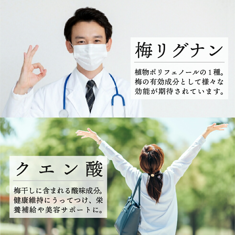 梅干し 訳あり はちみつ しそ漬け つぶれ梅 塩分 1.5% 350g 南高梅 減塩 選べる お試し｜tonohata｜17