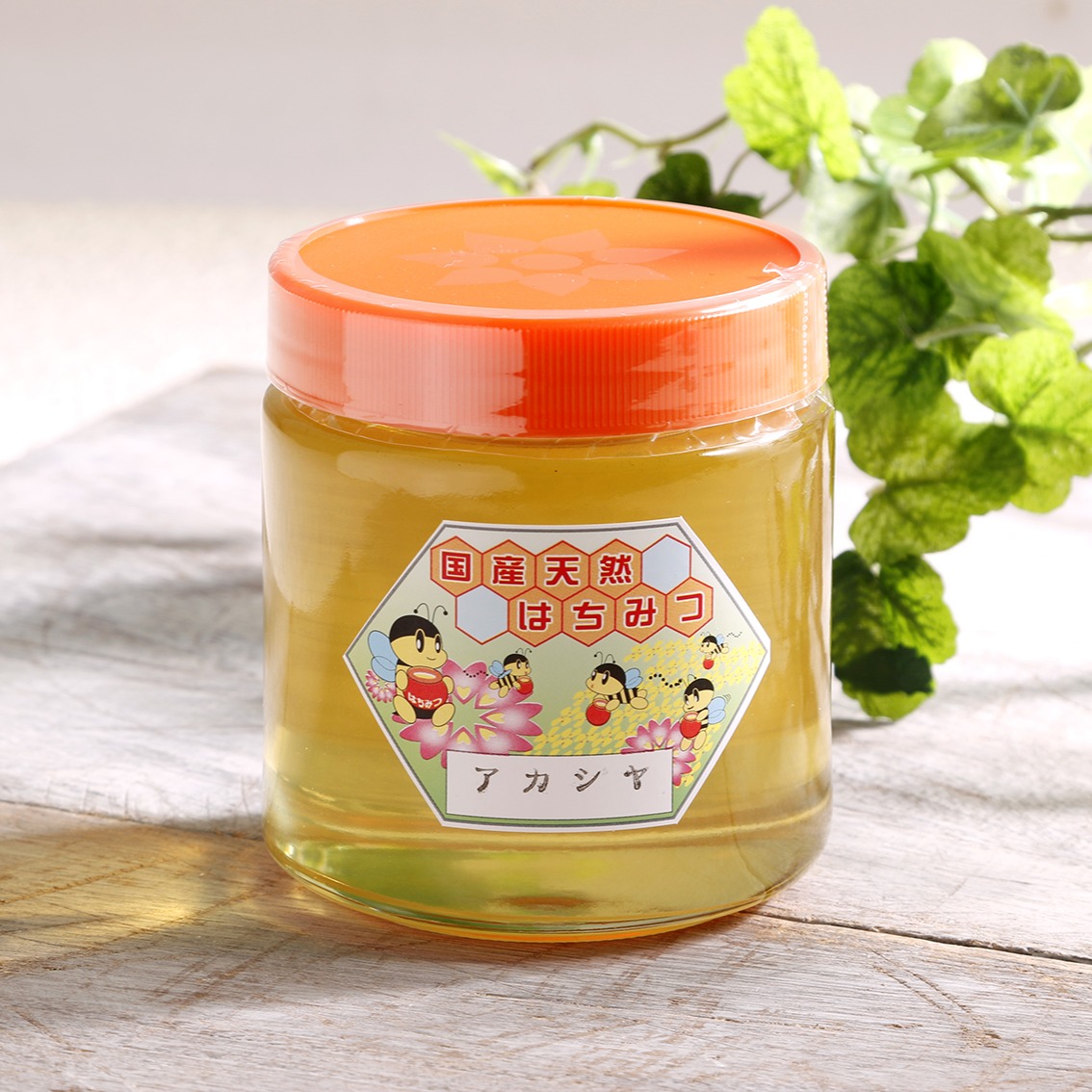 お徳用 アカシヤ蜂蜜 / 高見養蜂場 ハチミツ 国産 常温発送 : 食べレア