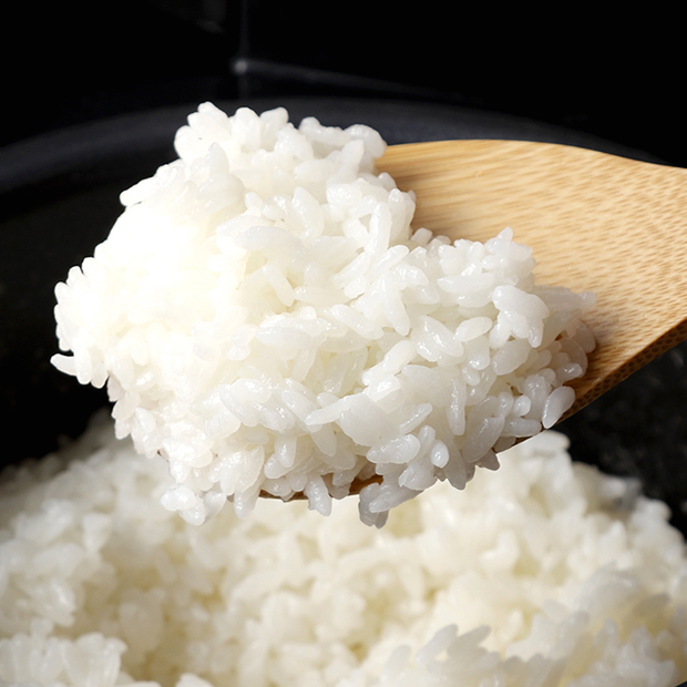 令和5年産 南幌産 特別栽培 ゆめぴりか・ななつぼし 各5kgセット 城地