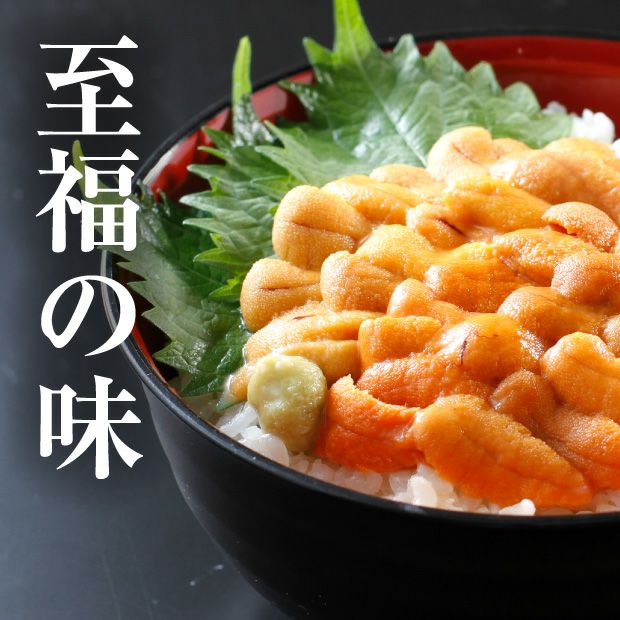 ❗️送料無料❗️カネタ竹内　根室前浜産　塩水エゾバフン雲丹　100g ❗️送料無料❗️カネタ竹内 根室前浜産 塩水エゾバフン雲丹