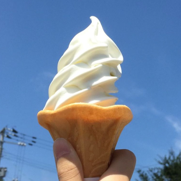 味付骨付きからあげ｜十勝の美味しい鶏肉 唐揚げ 北海道 お取り寄せ ギフト お歳暮 /中札内若どり［冷凍発送］ :ttmy1031115:食べレア北海道  - 通販 - Yahoo!ショッピング