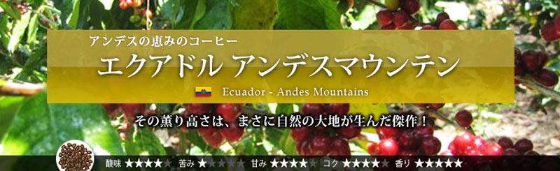 アンデス