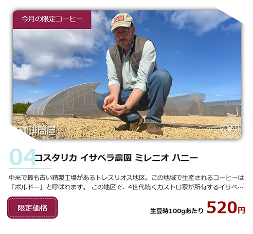 ④【選べる生豆2kg】＋酸素漂白ペーパー200枚 ④【選べる生豆2kg】＋酸素漂白ペーパー200枚