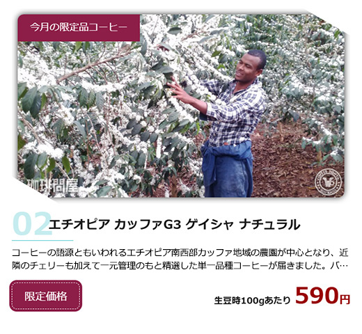 FRESH ROASTER珈琲問屋 Yahoo!店 - Yahoo!ショッピング