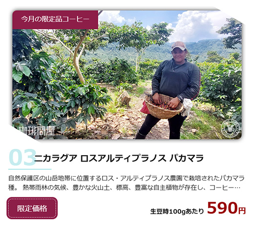 FRESH ROASTER珈琲問屋 Yahoo!店 - Yahoo!ショッピング