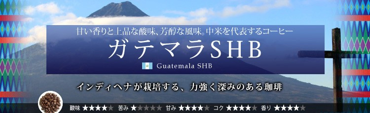 ガテマラSHB 珈琲豆
