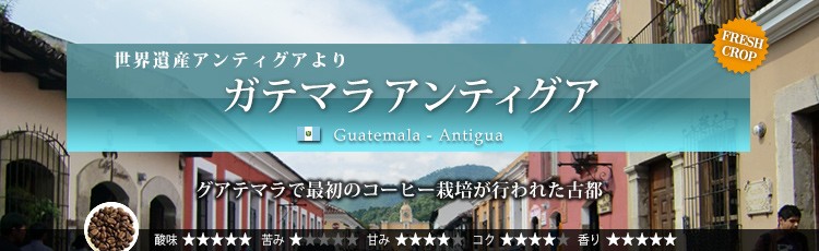 ガテマラアンティグア