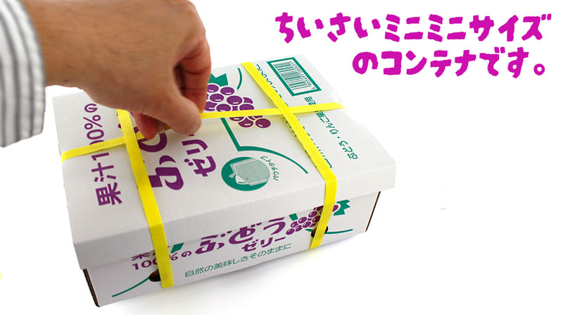 ASフーズ 果汁100％ゼリー ぶどう味 20個 パウチタイプ ミニチュアBOX