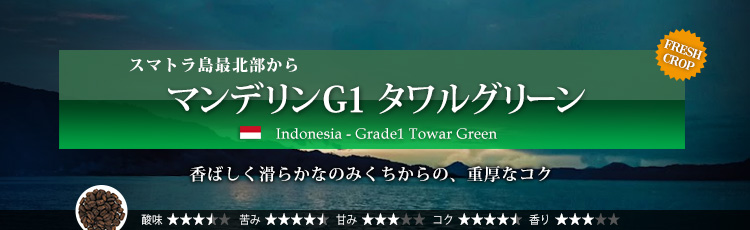 爆買い新作 限定品 マンデリンG1 タワルグリーン （生豆時500g