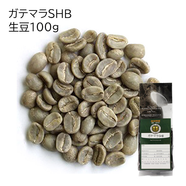 自家焙煎入門セット ガテマラSHB 生豆100gつき 送料無料 : FRESH