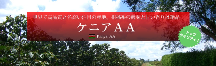 ケニアAA