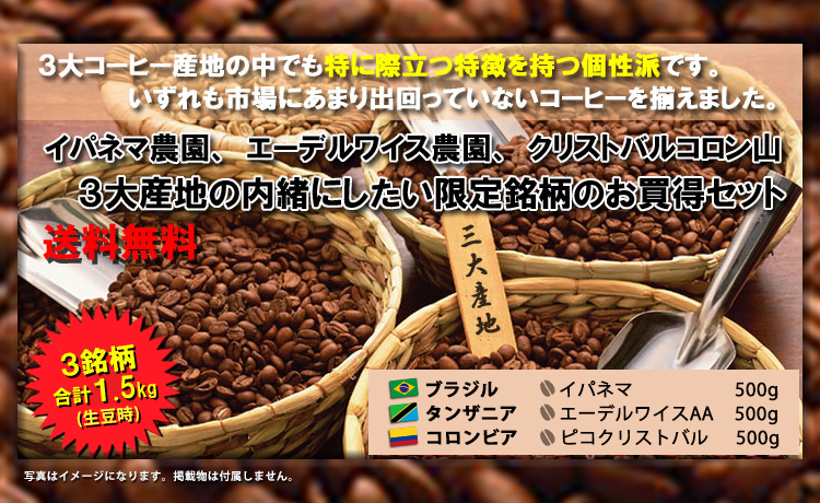 豊富な品 FRESH ROASTER珈琲問屋 Yahoo 店ASCASO i-mini グラインダー