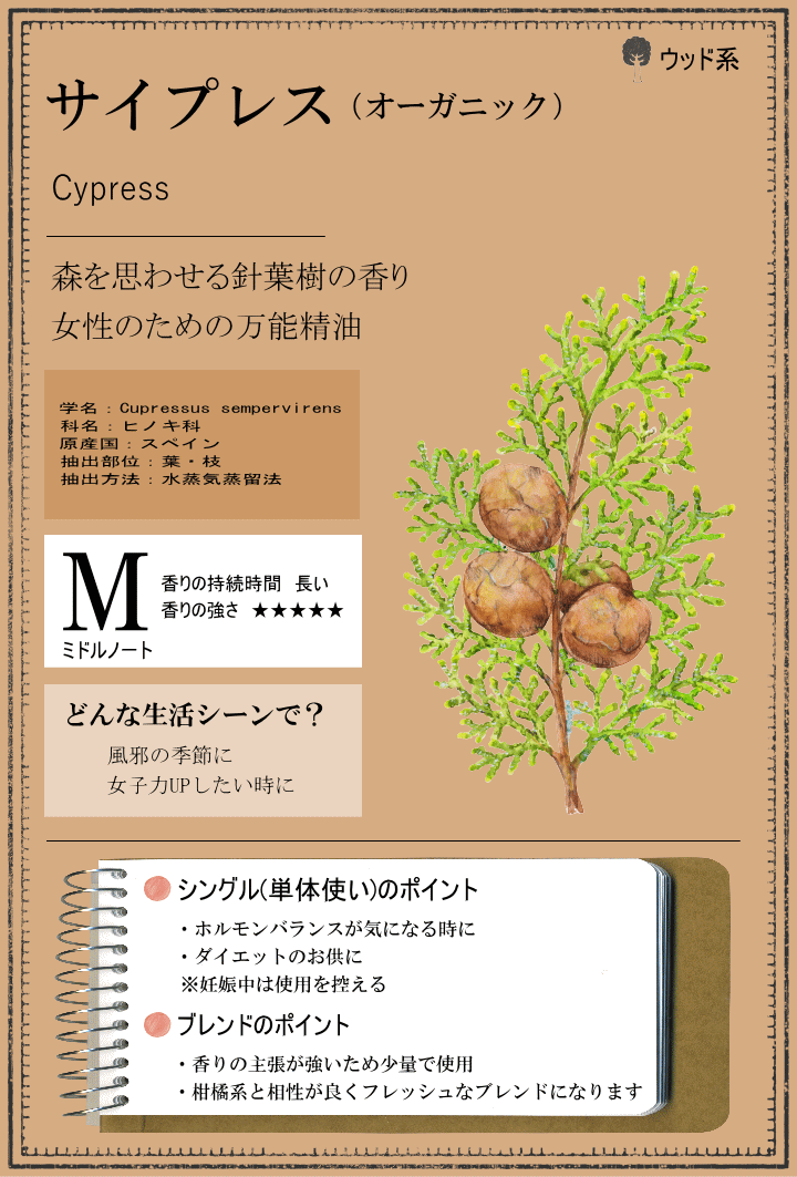 新品未使用 サイプレス オーストラリアヒノキ30ml天然精油エッセンシャルオイル 590d31518517a81d59b6861ffaf42a