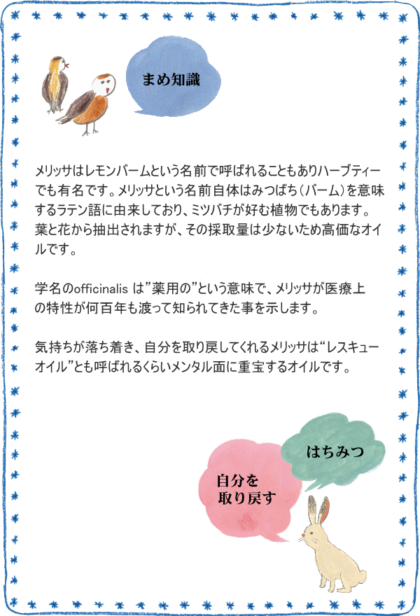 入荷未定 真正メリッサ レモンバーム 1ml アロマ アロマオイル エッセンシャルオイル 精油 E044 セラピストの問屋 通販 Yahoo ショッピング