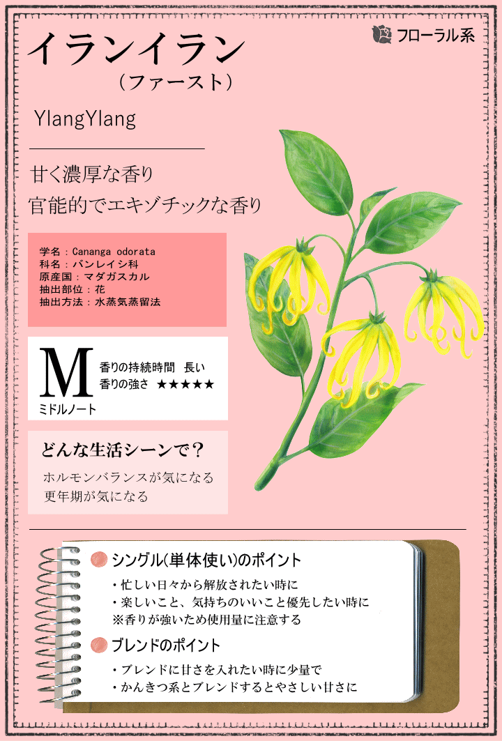 イランイラン 10ml アロマ アロマオイル エッセンシャルオイル 精油 E002 セラピストの問屋 通販 Yahoo ショッピング