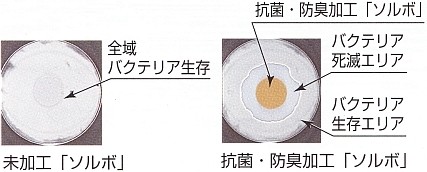 sb-sam6