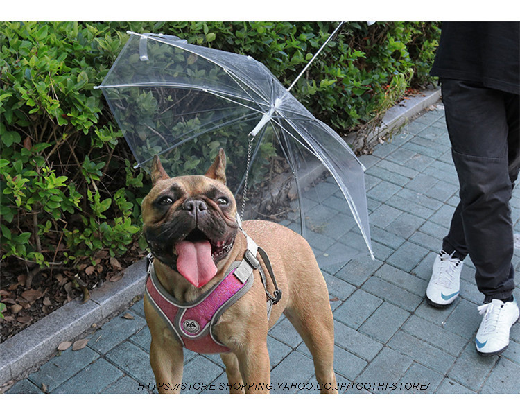 ペット用傘 犬用傘 猫用傘 ペット傘 ペットアンブレラ 雨具 小型犬