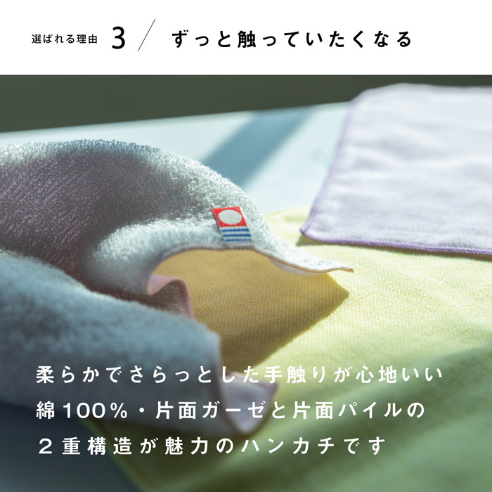 今治タオル（imabari towel） 2枚 ギフトセット 今治いろは 無地