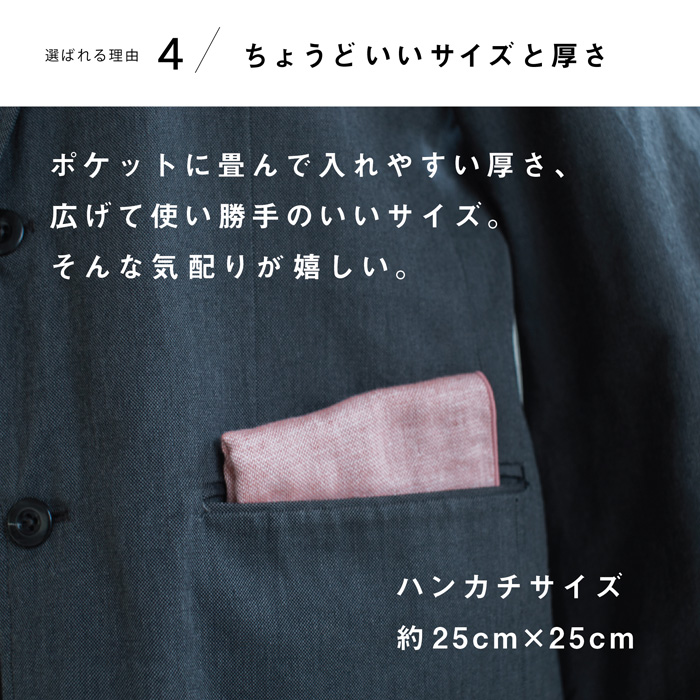 今治タオル（imabari towel） ハンカチ 無地 25×25cm 10枚 選べる 今治
