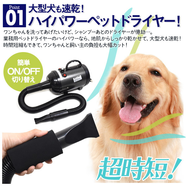 SALE／90%OFF】 超速乾セット 業務用ペットドライヤー 黒 青 超大判