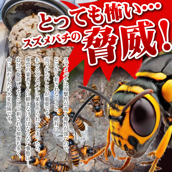 人気定番新作蜂の巣　スズメバチ　徳利　模様　キレイ　希少　5月16日採取 置物、オブジェ