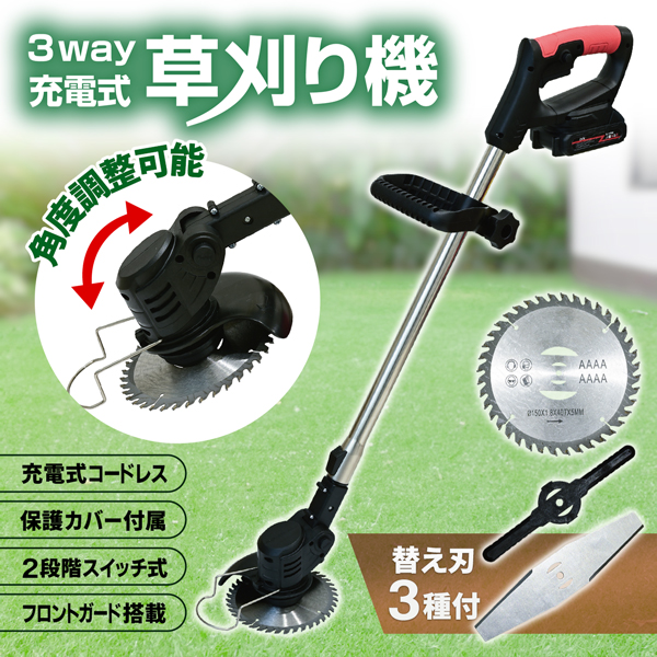 20240331-kusa.jpg