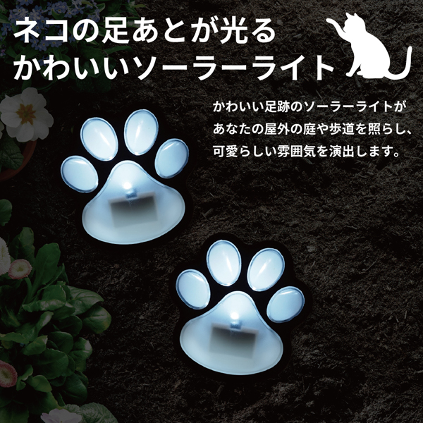 20240619-neko2_1.jpg