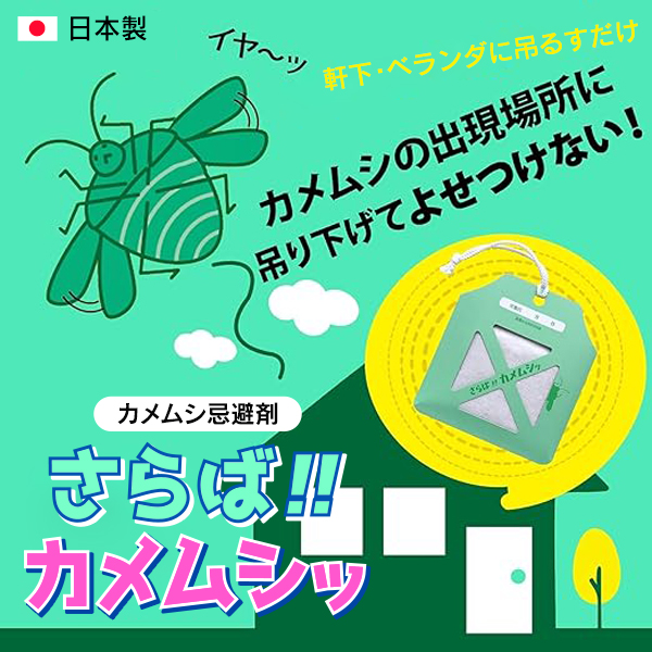 20240713-kame_9.jpg