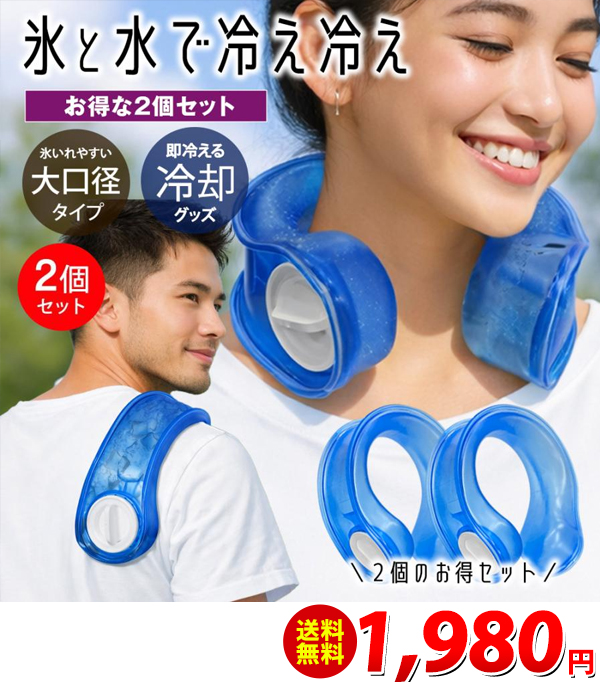 パワフル集音器 Ear Zoom 高音質 全方向性マイク内蔵 左右兼用