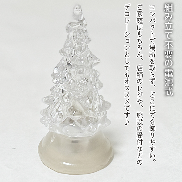 20241125-tree3_5.jpg