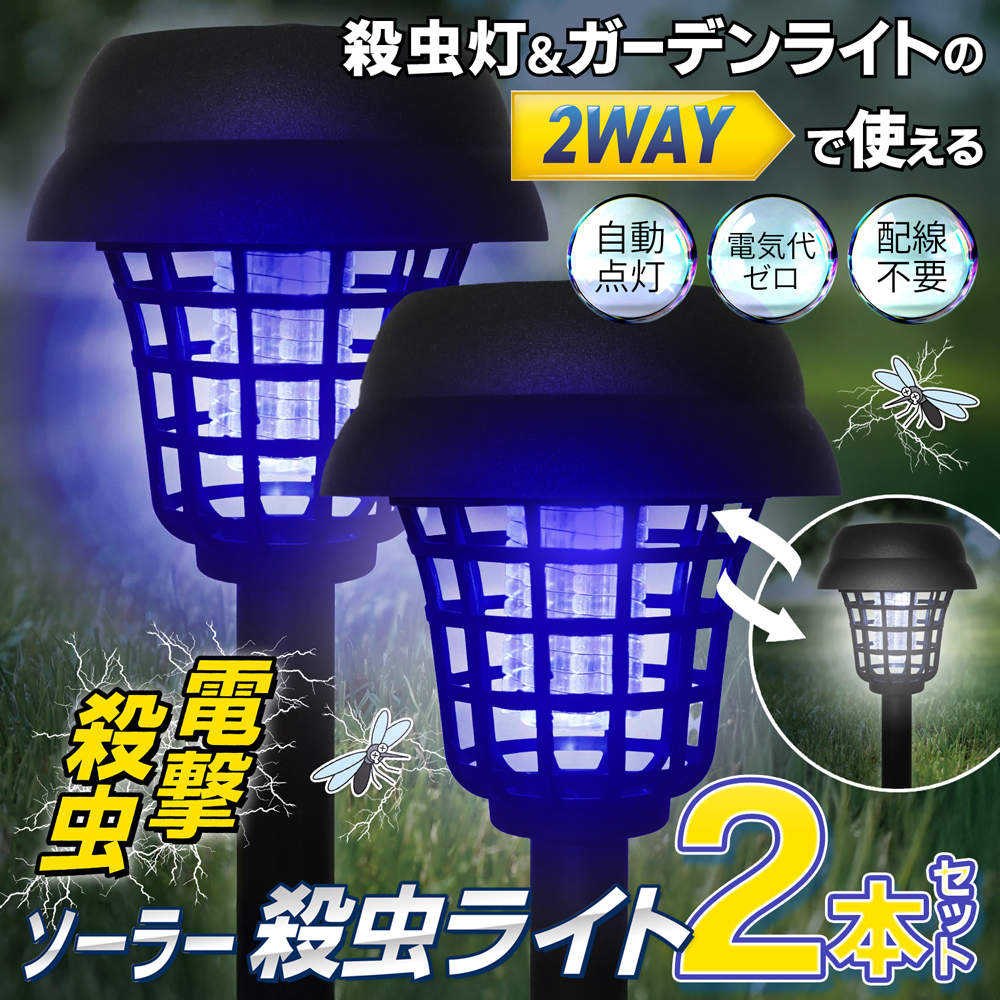 夜光虫2 夜光虫2