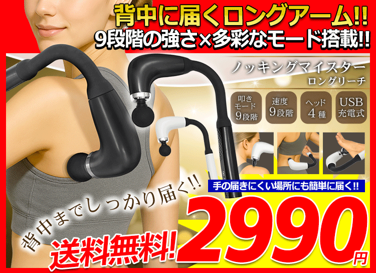 掃除機 コード式 強力吸引 隙間ノズル付 ブラシノズル ハンディ