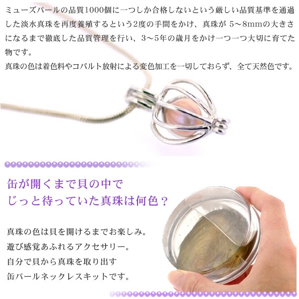 真珠の缶詰 ネックレス 作成キット チェーン付き ギフトBOX入