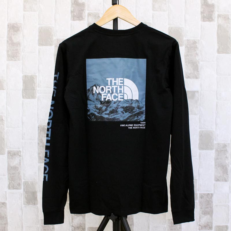 THE NORTH FACE ザ ノースフェイス スリーブロゴバックプリント ロゴプレーTシャツ Men's L/S Logo Play Tee  ロングTシャツ ロンT 長袖トップス