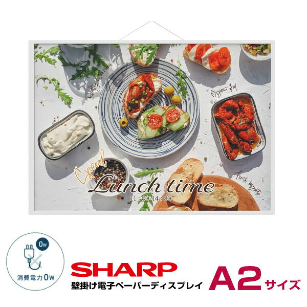 SHARP（シャープ） カラー電子ペーパーディスプレイ A2サイズ EP-CA22