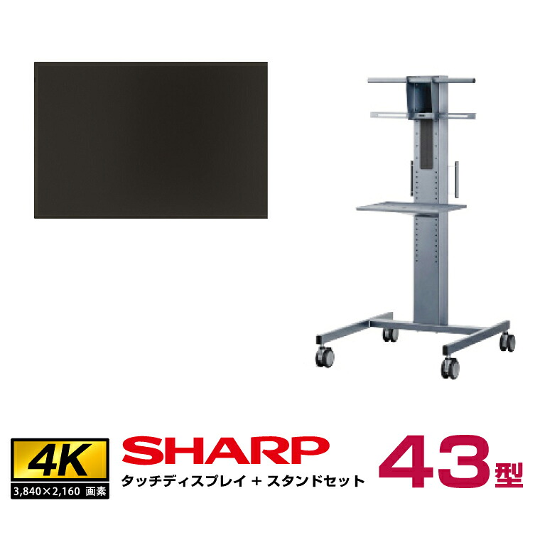 �\���t(11�����{���ח\��) �y�Z�b�g���i�z�V���[�v SHARP �^�b�`�f�B�X�v���C4K BIG PAD 43�^ PN-LM431 �t���A�X�^���h PN-ZS651