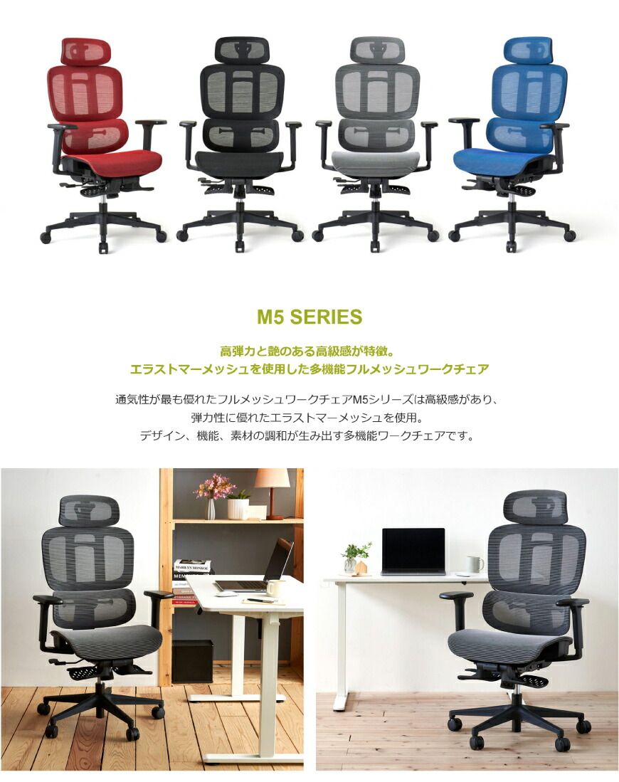 ROOM WORKS (ルームワークス）多機能フルメッシュワークチェア M5