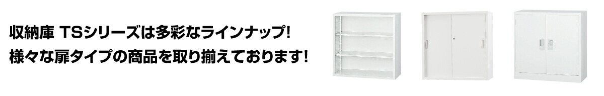 TS-33S