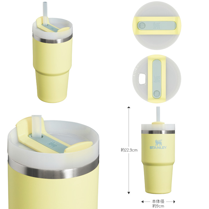 スタンレー STANLEY H2.0 真空クエンチャー 0.6L ポメロ 10826-324