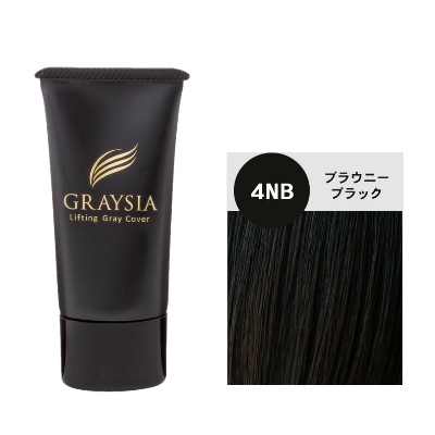 訳ありヘアシャドウ　ブラック(ダークグレー)20個 ヘアシャドウパウダー×4(ダークグレー) - メルカリ