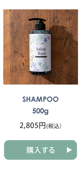 SALON BIJIN サロン美人 シャンプー 500g & コンディショナー 500g