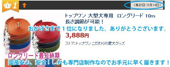 Yahooショッピングリード　トップワン　ロングリード　１カ月連続1位