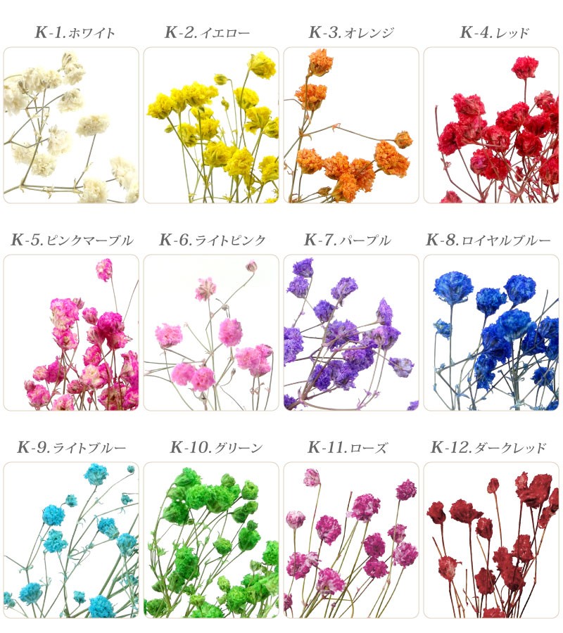 ドライフラワー かすみ草 全10色 各種3本入【押し花/フェイク